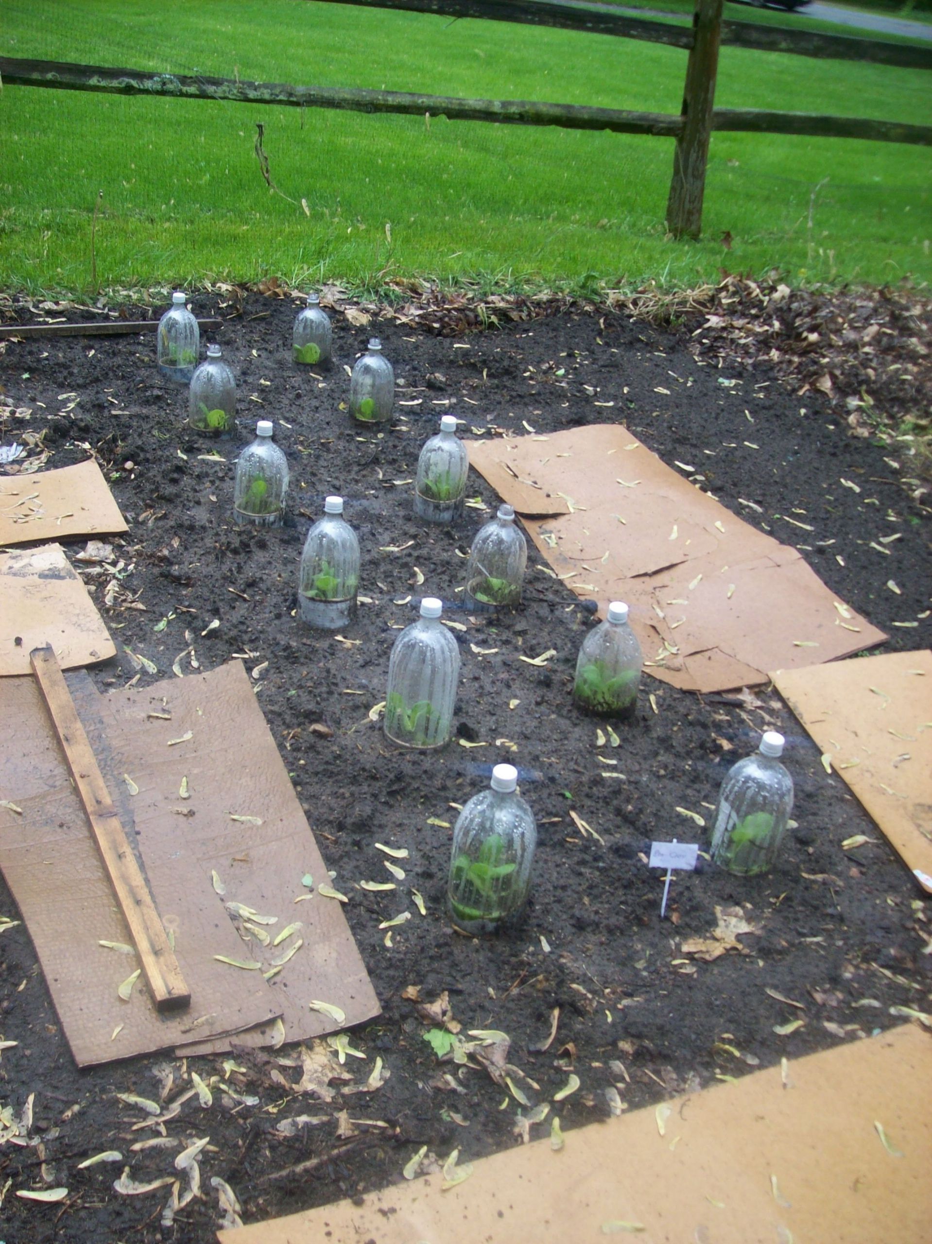 Fraiseuse Jardin Luxe Diy Guide to Heating A Greenhouse