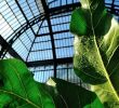 Graine De Jardin Rouen Best Of Grandes Serres Du Jardin Des Plantes