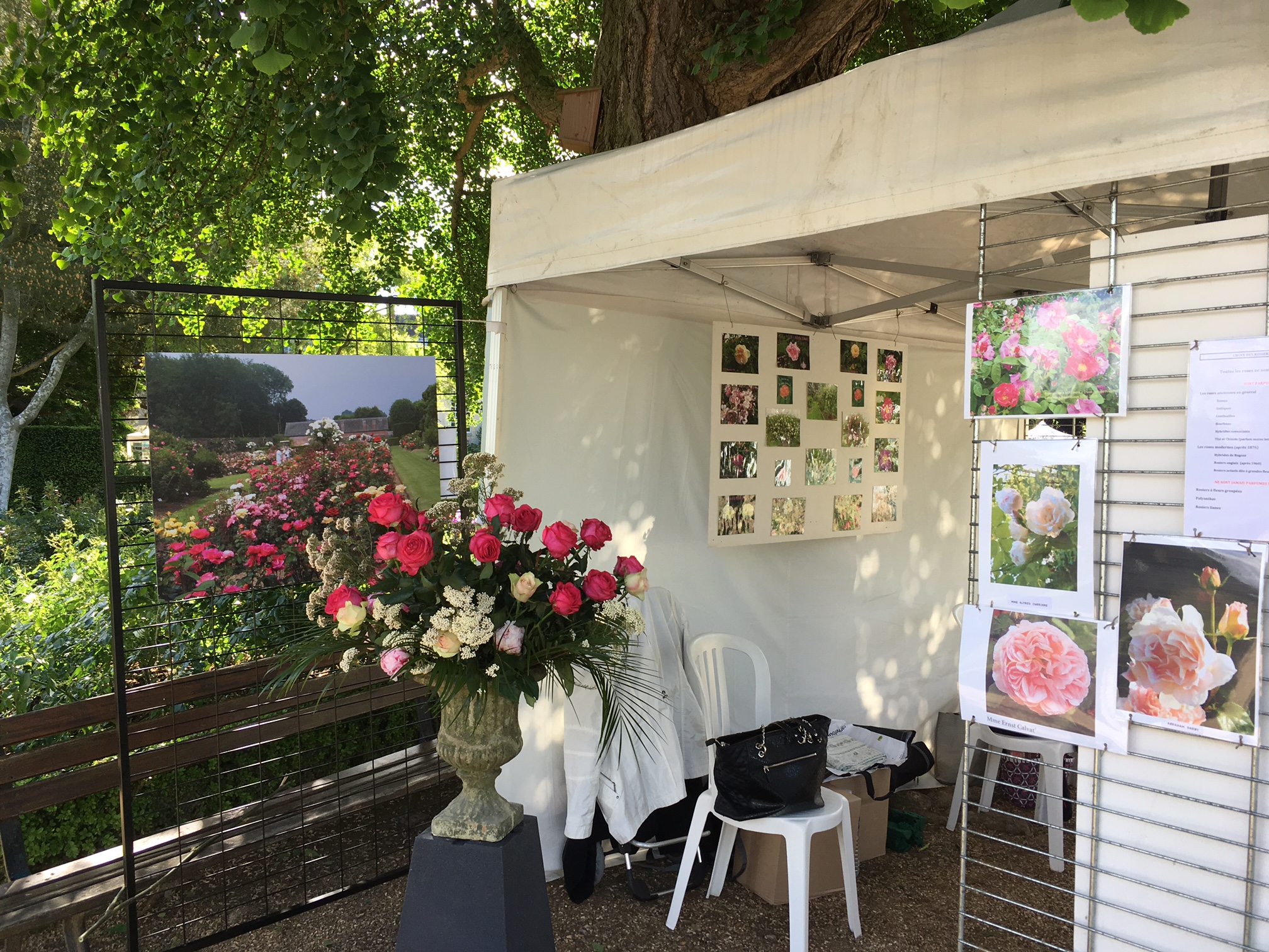 Graine De Jardin Rouen Charmant Itinéraire Des Roseraies normandes