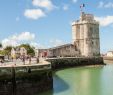 Graine De Jardin Rouen Génial La Rochelle