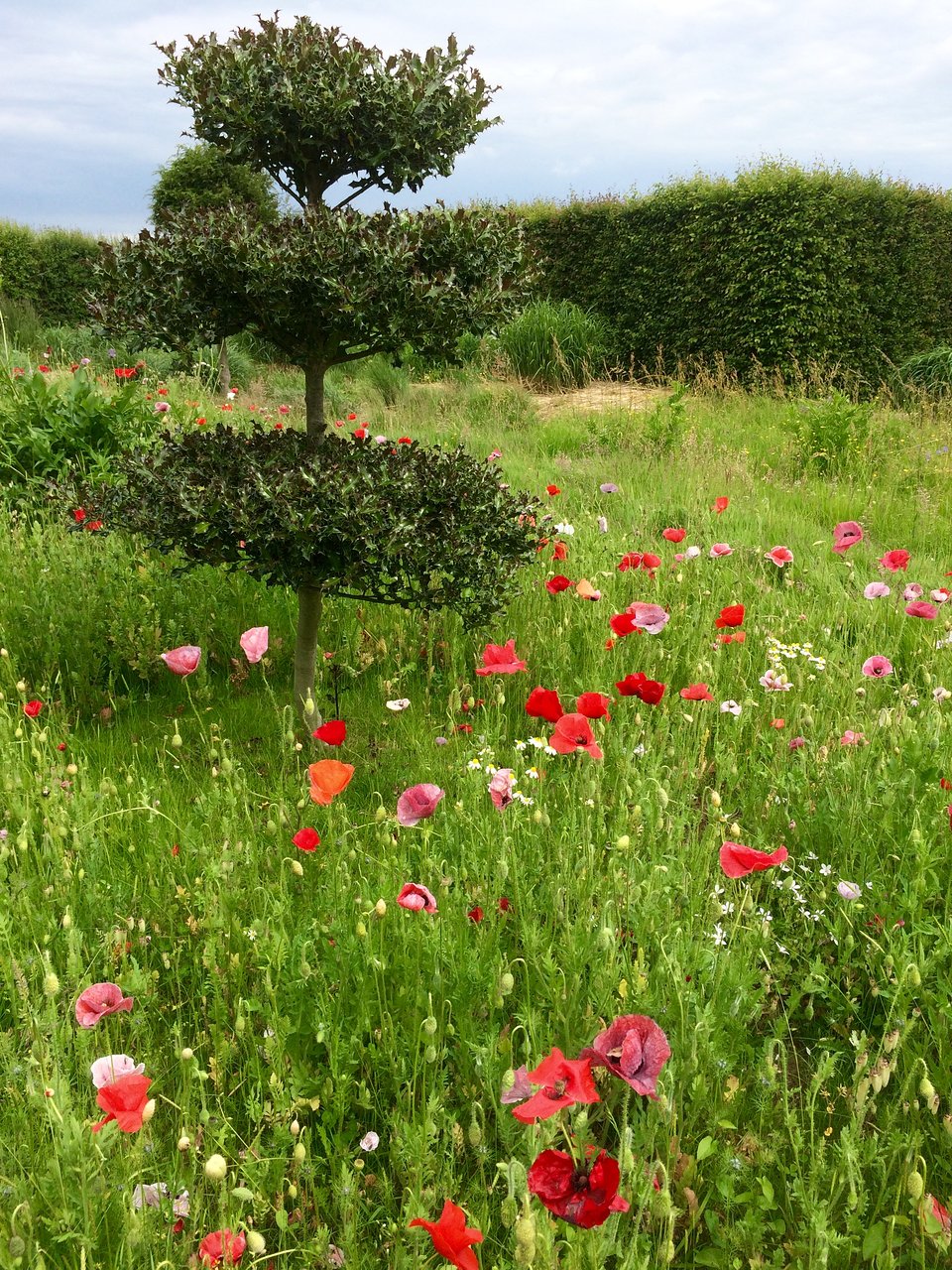 le jardin plume