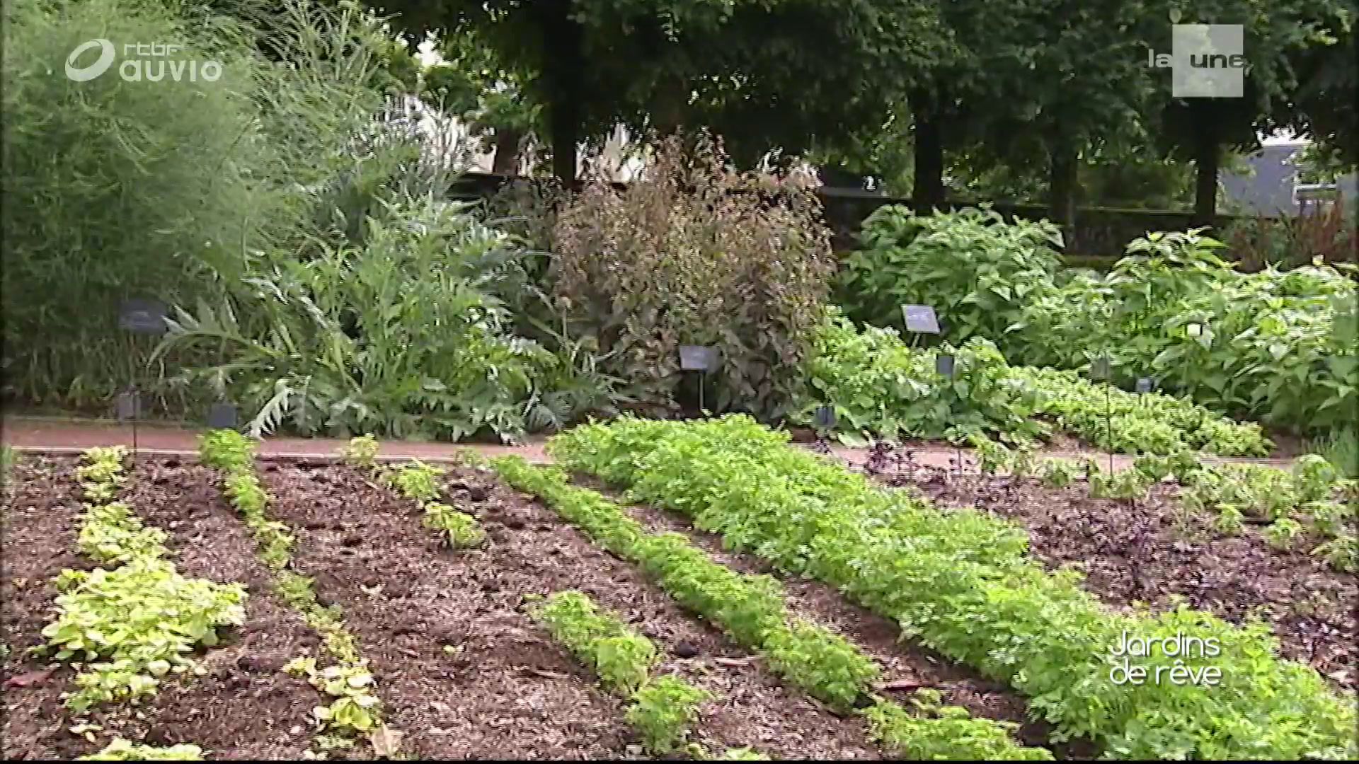 Graine De Jardin Rouen Inspirant Les Jardins De Reve De Luc