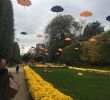 Graine De Jardin Rouen Unique Jardin Des Plantes Rouen 2020 All You Need to Know