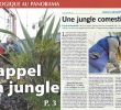 Graine De Jardin Rouen Unique Presse – Les Cocottes Urbaines