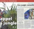 Graine De Jardin Rouen Unique Presse – Les Cocottes Urbaines