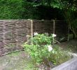 Grosse Pierre Pour Jardin Best Of source D Inspiration Guirlande Ampoule Exterieur Luckytroll