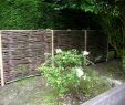 Grosse Pierre Pour Jardin Best Of source D Inspiration Guirlande Ampoule Exterieur Luckytroll