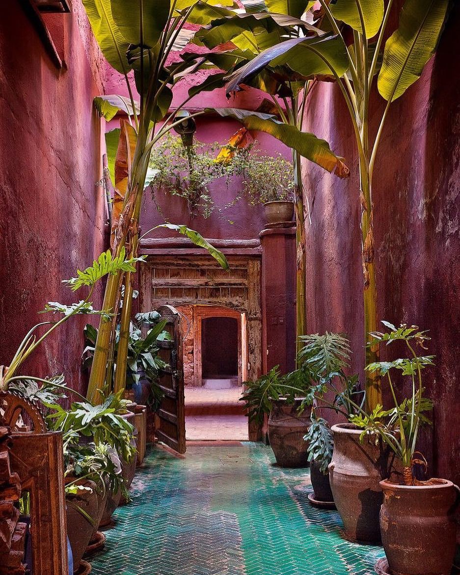 Hotel Jardin Tropical Best Of Pamela Moell On Instagram “amazing Marrakesh I Wish You