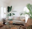 Hotel Jardin Tropical Génial Neutral Tropical Living Room with Simplicity