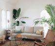 Hotel Jardin Tropical Génial Neutral Tropical Living Room with Simplicity