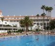 Hovima Jardin Caleta Beau Hotel Riu arecas Costa Adeje Tenerife Canary islands