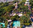 Hovima Jardin Caleta Best Of Siam Park Siampark