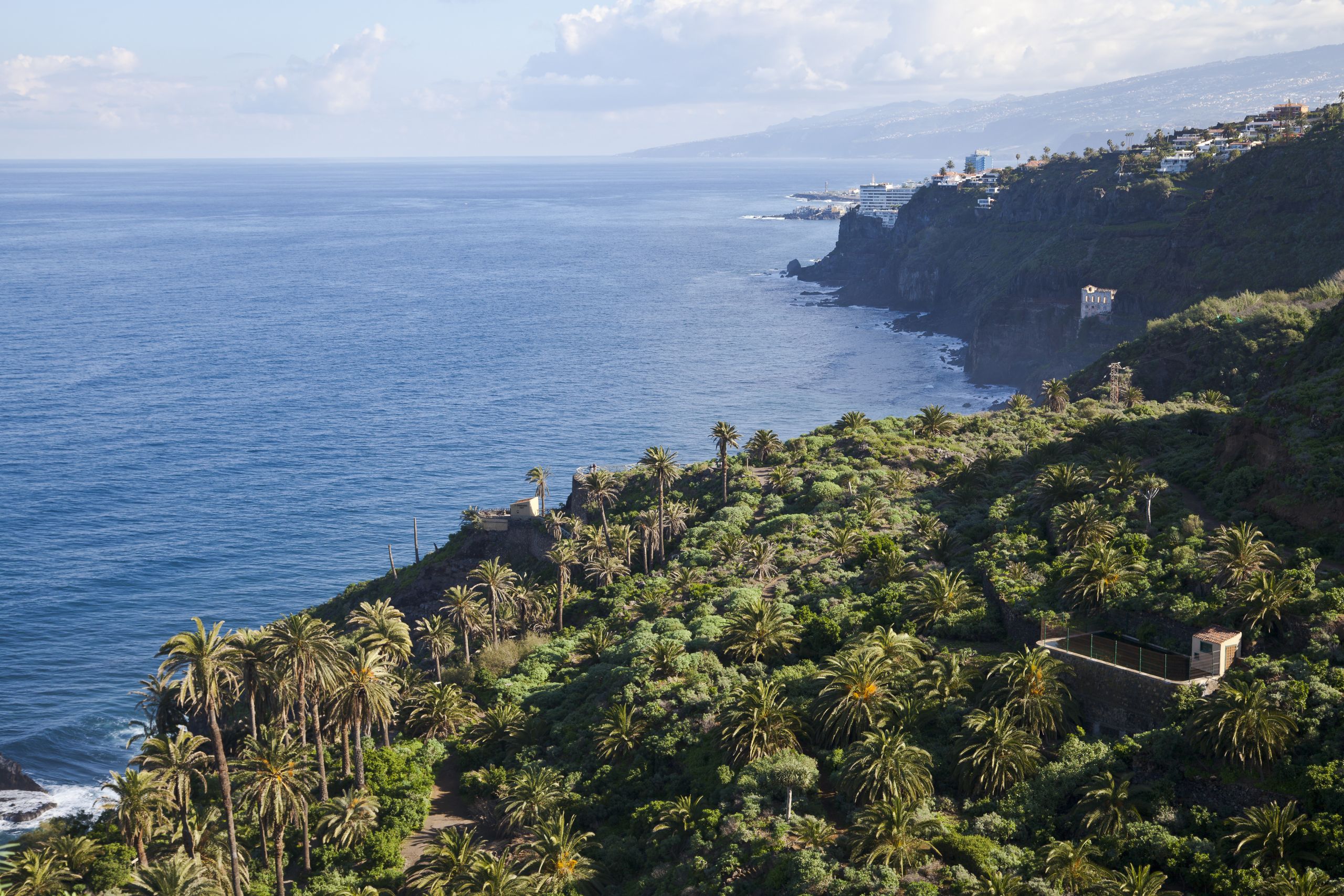 Hovima Jardin Caleta Élégant File Vista Desde El Mirador De San Pedro Los Realejos