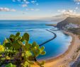 Hovima Jardin Caleta Nouveau Santa Cruz De Tenerife Travel Cost Average Price Of A