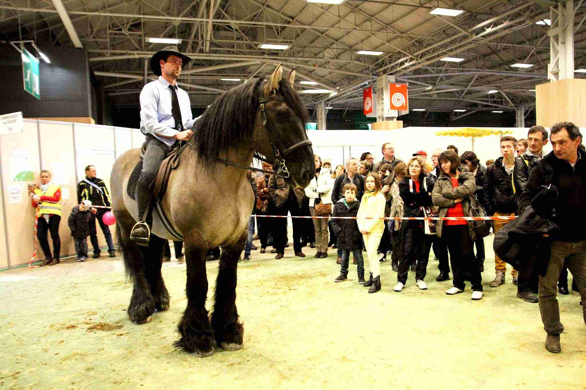 excellent salon de l agriculture la 2014 20minutes fr paris 51e international 8975 diaporama le qui se tient jusqu au 2 mars