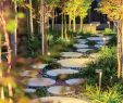 Idee Amenagement Jardin Beau Jardin Romantique Idées D Aménagement Et éléments