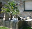 Idee Amenagement Jardin Devant Maison Best Of Idee Amenagement Jardin Devant Maison