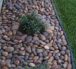 Idee Amenagement Jardin Devant Maison Nouveau 30 Fancy Garden Decorating Ideas with Rocks and Stones