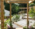 Idee Amenagement Jardin Génial Modern Garden with A Rustic Twist Profesjonalista