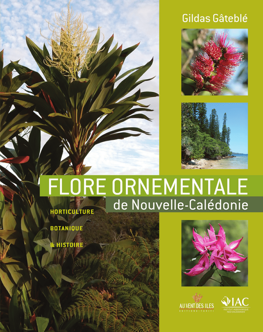 Idee Amenagement Jardin Unique Pdf Flore ornementale De Nouvelle Calédonie Horticulture