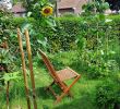 Idee Amenagement Petit Jardin Génial Permaculture Wikiwand