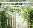 Idee Amenagement Petit Jardin Luxe Sustainable Summits 2018