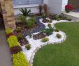 Idee Deco Jardin Génial Gardening 14 Small Gardens that are Easy to Copy