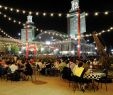Idee Deco Jardin Luxe Best Places to Spend Christmas
