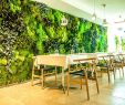 Idee Deco Jardin Luxe Greenarea Presents at Feria Habitat Its New Plant Decoration