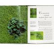 Idee Jardin Paysagiste Frais Index Of Wp Content