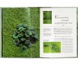 Idee Jardin Paysagiste Frais Index Of Wp Content