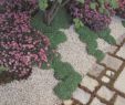 Idee Jardin Paysagiste Inspirant â Provence Garden Gravel
