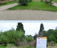 Idee Jardin Paysagiste Inspirant Les Jardins De Mowgli Au Parc De Wesserling Dans Ma Bonjotte