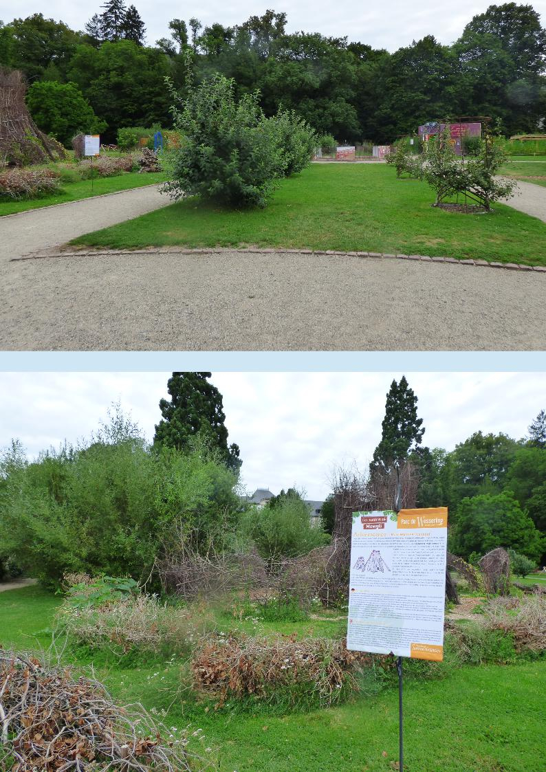 Idee Jardin Paysagiste Inspirant Les Jardins De Mowgli Au Parc De Wesserling Dans Ma Bonjotte