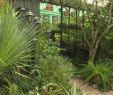 Idee Jardin Paysagiste Unique Ard¨che Anthony Vous Ouvre Les Portes De son Jardin