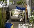 Idee Salon De Jardin Beau 26 Charmant Amenagement Salon De Jardin