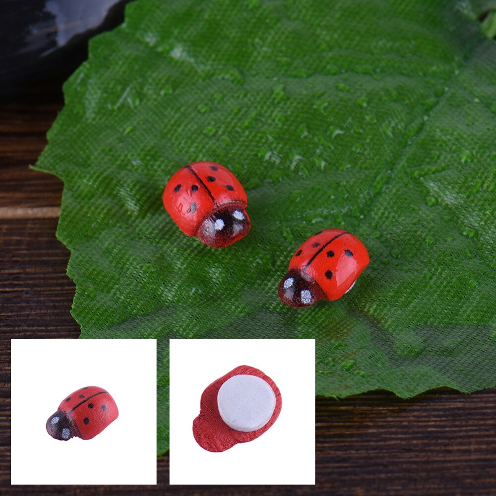 Insectes Du Jardin Élégant € 0 79 De Réduction 24 Pcs Jardin Décoration Micro Paysage Diy Maison De Poupée Maison De Bureau Succulentes Insecte Coléopt¨re Charlotte Mousse