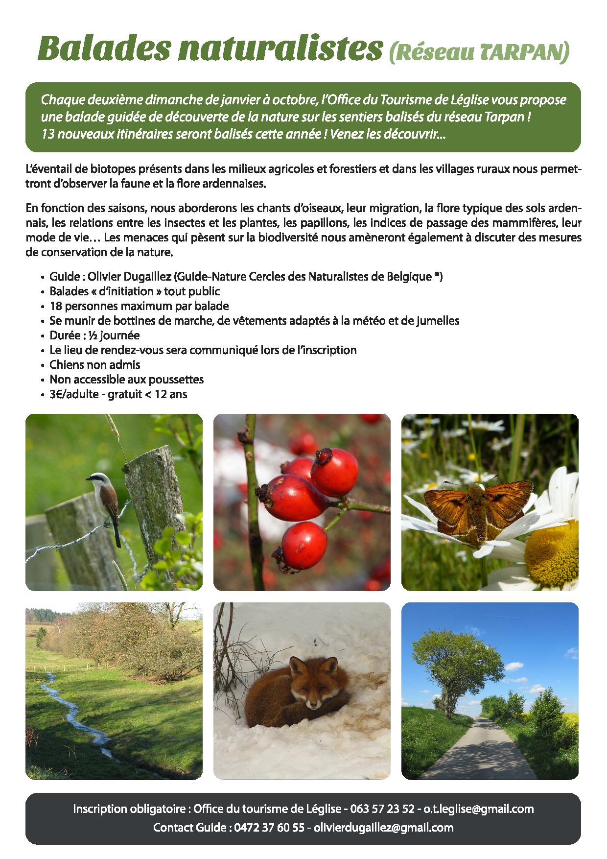 Insectes Du Jardin Frais Actualité Results From 436