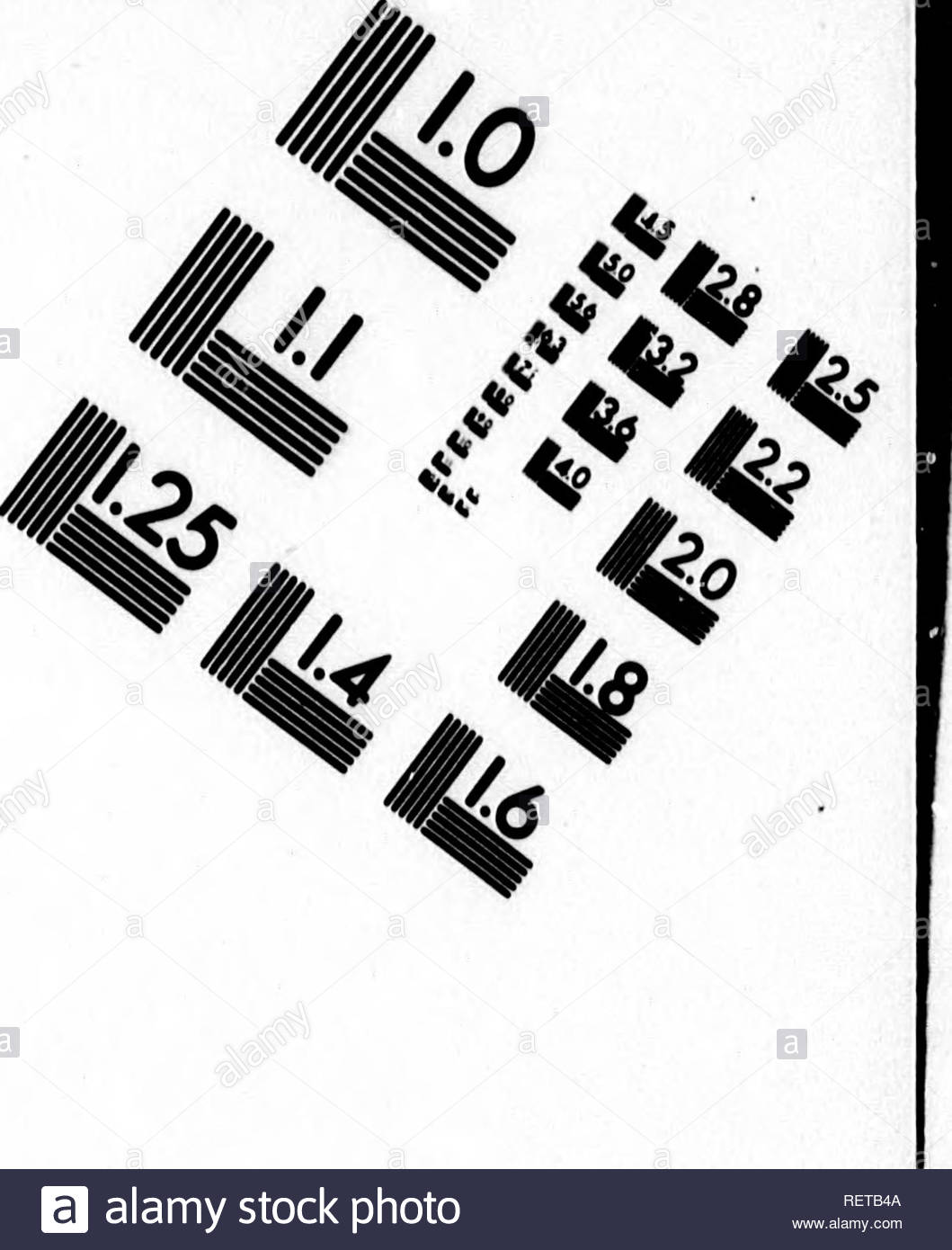 Insectes Du Jardin Luxe Ht 3 Black and White Stock S & Alamy