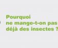 Insectes Du Jardin Nouveau Pin by Insectes Au Menu On Les 7 Bonnes Raisons De Manger