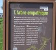 Installer Un Spa Dans son Jardin Nouveau L Arbre Empathique Brest 2020 All You Need to Know