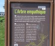 Installer Un Spa Dans son Jardin Nouveau L Arbre Empathique Brest 2020 All You Need to Know