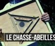 Installer Une Ruche Dans son Jardin Best Of Les 323 Meilleures Images De Ruche