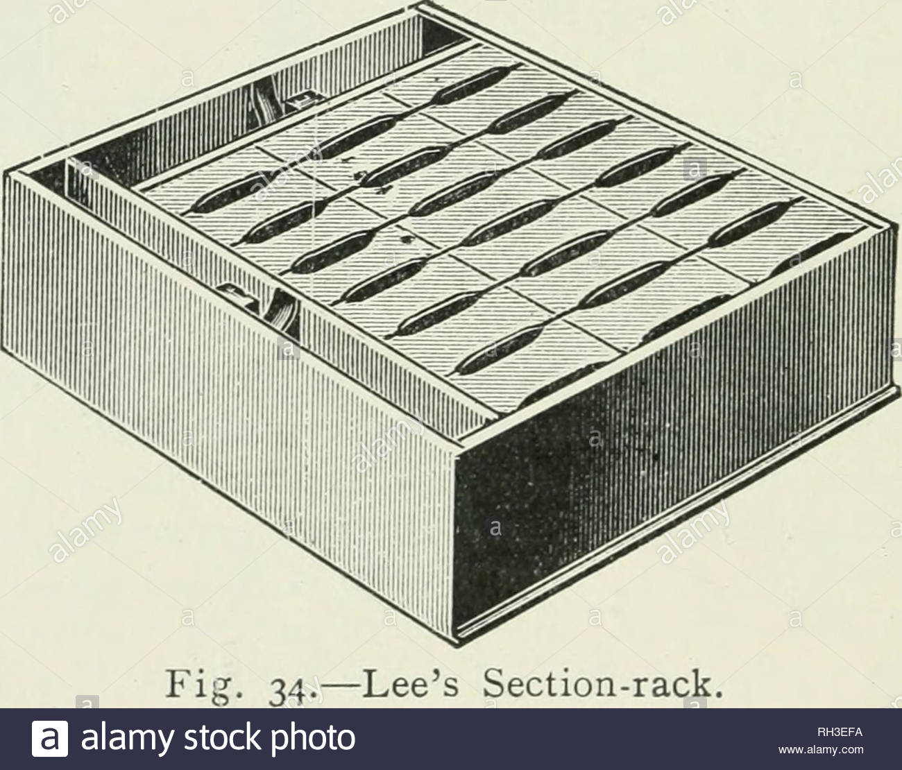 british bee keepers guide pour la gestion d abeilles dans des ruches b et l utilisation des appareils modernes de l apiculture l illustration la culture de l abeille excedent 56 b miel mis en place il y aura de la place pour les abeilles de fonctionner librement entre eux et le haut des images les separateurs sont des bandes d etain bois zinc perfore ou atteindre a l interieur pouce de haut et en bas des sections et sont places entre chaque ligne de la petites boites cela garantit l homogeneite et la meme epaisseur de chaque peigne ainsi qu ils peuvent etre emballes ou recouverts de verre sans aucune difficulte n utilisez jamais de se rh3efa