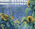 Intermarché Rouen Jardin Des Plantes Génial 212 Best Caillebotte Gustave Images