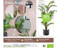 Jardiland Petite foret Beau Plante Artificielle Casa