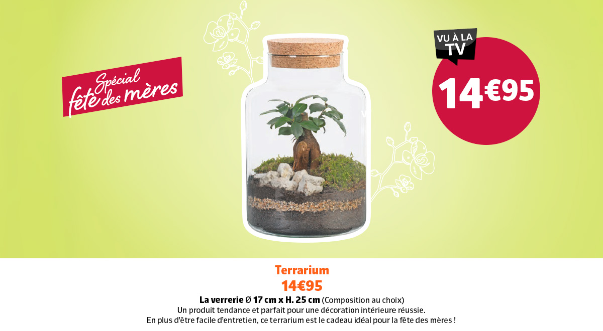 Jardiland Petite foret Best Of Terrarium Vu A La Tv Jardiland