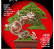 Jardiland Petite foret Charmant 2018 10 01 Esprit Bonsai International Pdf Bonsai