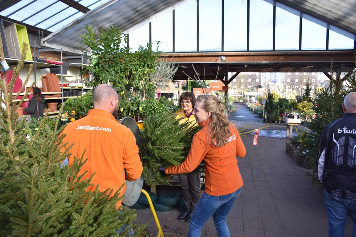 Jardiland Petite foret Charmant J Ai Testé ªtre Vendeuse De Jouets Et De Sapins Ou