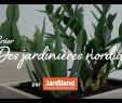 Jardiland Petite foret Luxe Diy Créer Des Jardini¨res nordiques Depuis Mon Hamac